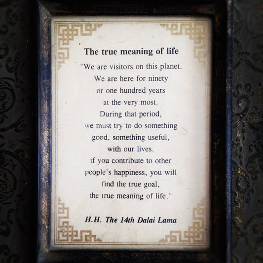 True Meaning of LIFE